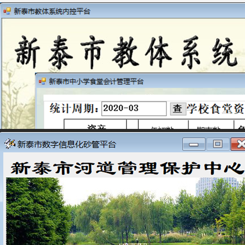 软件定制开发