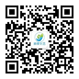 新泰优选团购项目概述